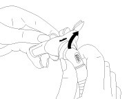 assemble_swift-fx-bella-2